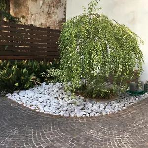 La Betulla Apartment
